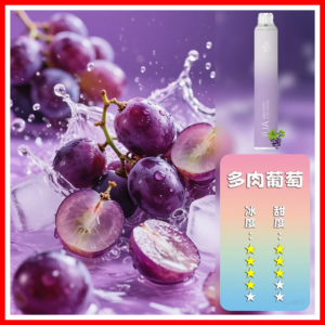 ILIA哩啞電子煙一次性抛棄式 6500口【葡萄】